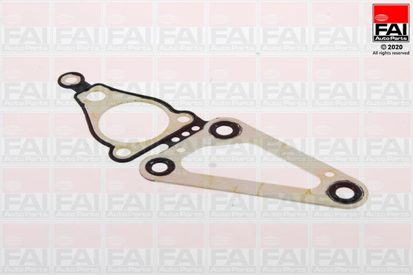 Gasket, timing case